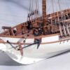Albatros