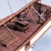Albatros