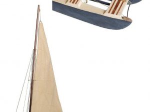 Patin Del Mediterraneo